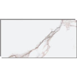 Dumawall+ Waterproof Wall Tiles, Easy-to-Install, Tongue & Groove System, UV Resistant, Strong & Durable | No Grouting, Cut with Hand Tools, Rome Polished Marble