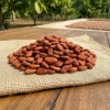 Granos De Cacao Lavado Tabasqueño 1 Kg Vida Silvestre