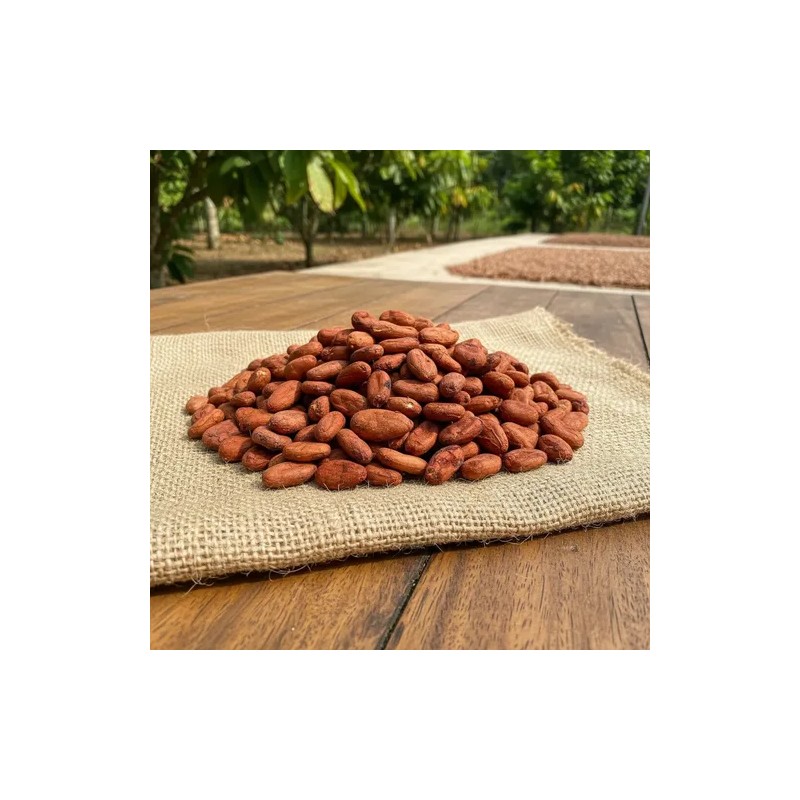Granos De Cacao Lavado Tabasqueño 1 Kg Vida Silvestre