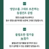 유기농 컬리케일분말 동결건조 곱슬케일 가루 파우더, 50g, 2개 Organic Curly