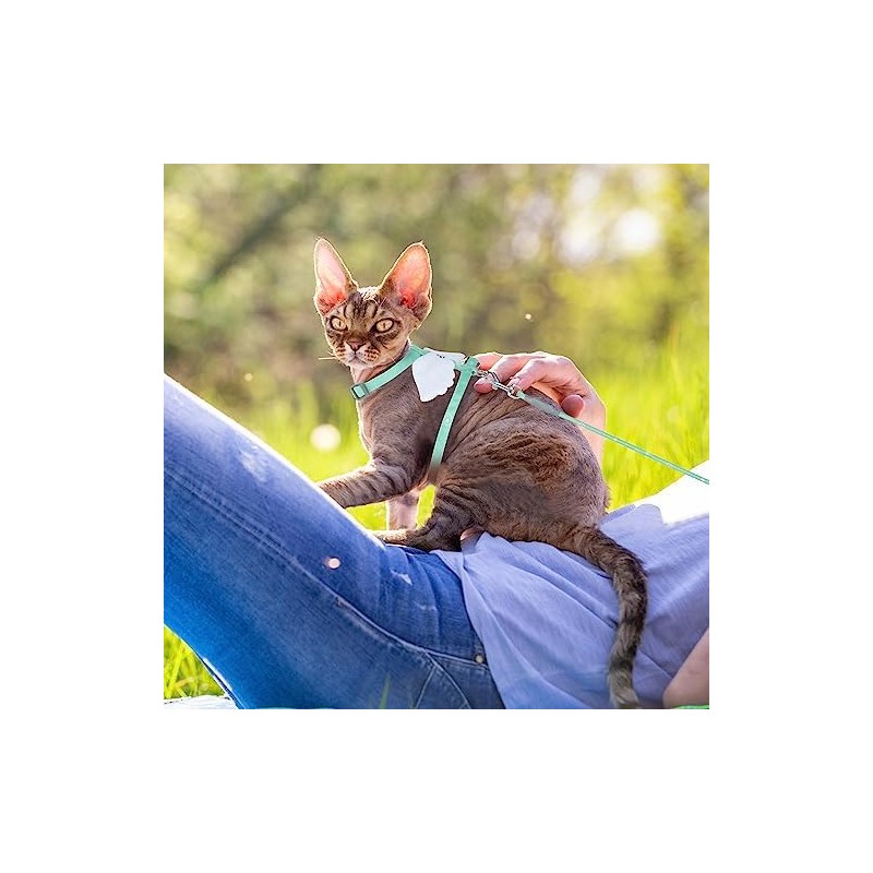 TIESOME - Juego de arnés y correa para gatos, arnés