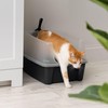 IRIS USA Large Cat Litter Box with Scatter Shield and