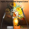 Mojimdo LED Desk Lamp with Clamp, LED Dimmable Reading Lamp