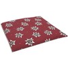 Rapeseed Cushion 19 x 19 cm Flower Edelweiss - Grain