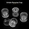4 Pack Planaria Catch Trap Aquarium Snail Leech Clear Glass