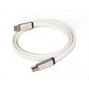 Oyaide Neo d+ Series Class S USB Cable 2M