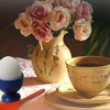Kerafactum Plastic Spoon Grey Egg Spoon Colourful Plastic Spoons 10