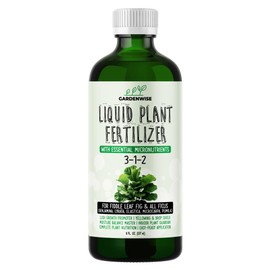 3-1-2 Liquid Fertilizer Concentrate with Micronutrients - Optimal Fiddle Leaf Fig Plant Food, Ideal for Ficus Lyrata & Fig Trees, Gold Leaf Enhanced Indoor Plant Fertilizer (8 OZ)