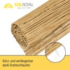 Sol Royal premium SolVision S36 reed mat for balcony, or