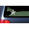 Vinyl Zebra Print Star Die Cut Sticker - 5.5"