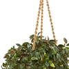 Nearly Natural 30in. Mini Melon Artificial Plant in Hanging Basket
