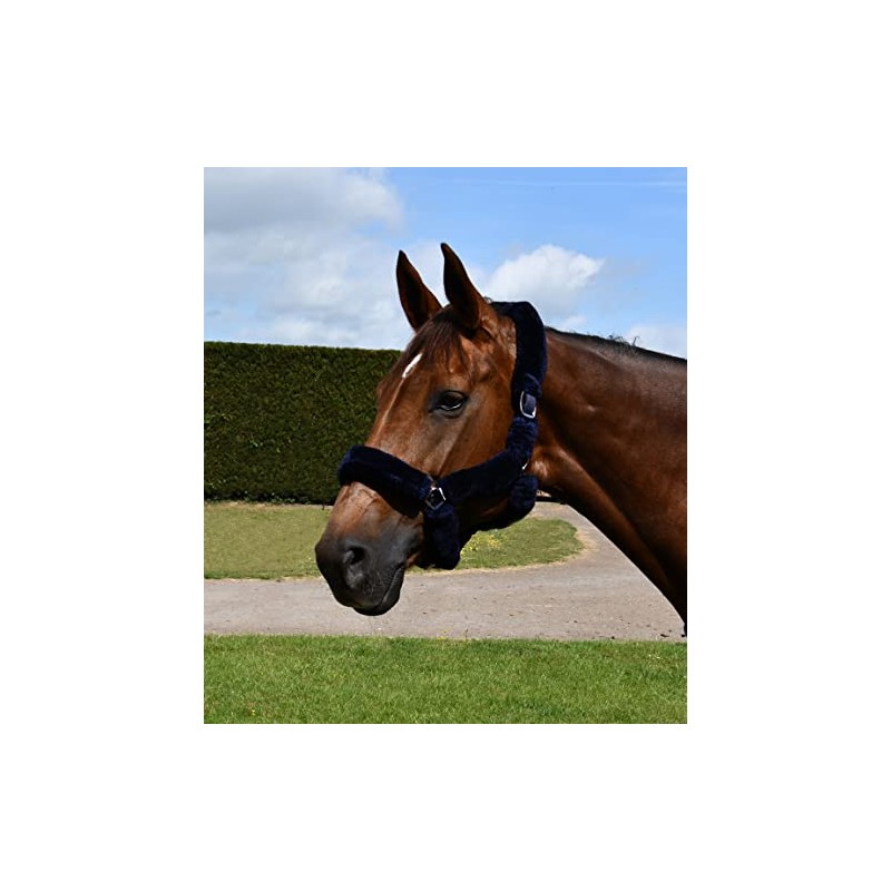 Rhinegold Fur Trim Headcollar - Full - Navy
