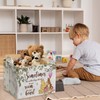 Winnie Nursery Decor, the Pooh Baby Stuff, Winnie Storage Nursery