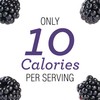 Skinnygirl Sugar Free Kosher Preserves, Blackberry, 10 Ounce (Pack of