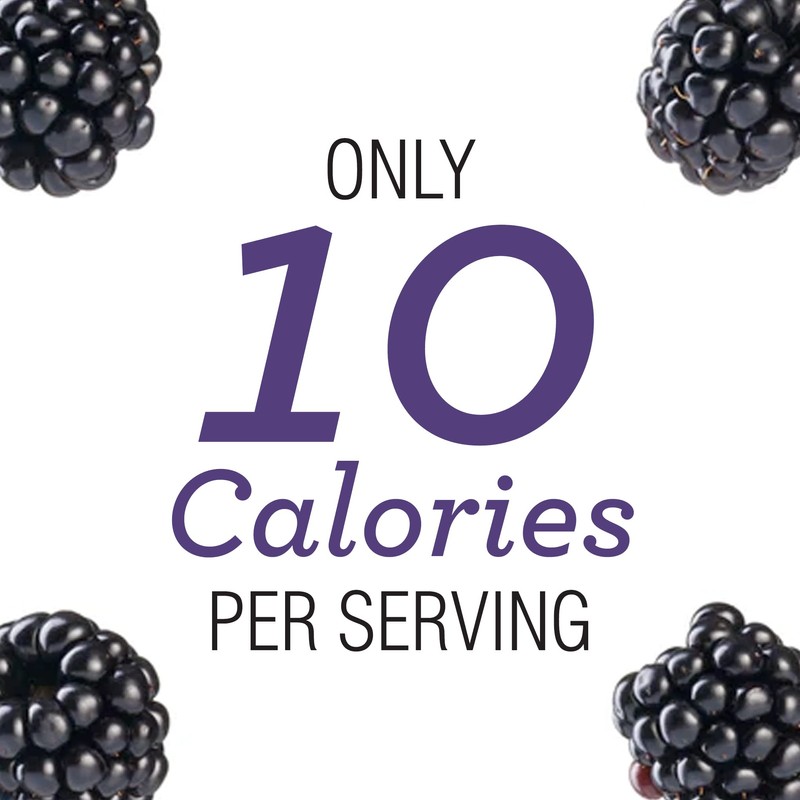 Skinnygirl Sugar Free Kosher Preserves, Blackberry, 10 Ounce (Pack of
