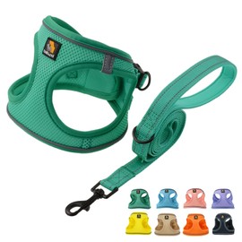 BELLA & PAL Puppy Harness with Leash Set, Dog Harness for Small Dogs No Pull, Dog Leash for Small Dogs, Step in Harness for Extra Small Dogs, Green Harness, L BPH00434