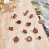 CRAFTYMELODY 40Pcs 10 Style Wooden Earring Stud Post Walnut Wooden