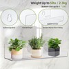 Windproof Window Plant Shelves 6 Pack - 15" Suction Cup