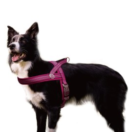DOCO No-Pull Dog Harness Halter - Reflective, Easy-Control Harness - Ideal for Teaching Leash Manners and Preventing Pulling (Raspberry Pink, Small)