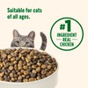 Nutrish Premium Natural Dry Cat Food, Real Chicken & Brown