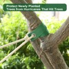 Tree Straps for Attachment, Tree Support Straps for Stabilizing Newly