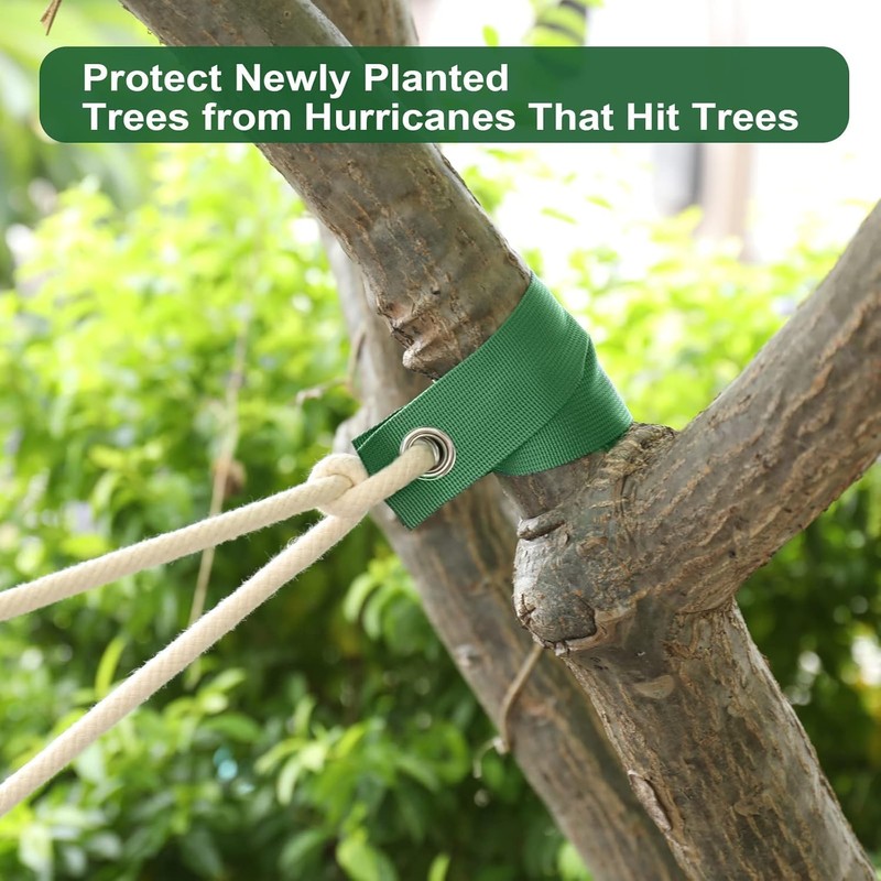 Tree Straps for Attachment, Tree Support Straps for Stabilizing Newly