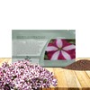 Outsidepride Burgundy Star Easy Wave Petunia Seeds - 15 Pcs.