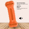 TPR Dog Teeth Cleaning Chew Toy Food Dispenser Brushing Stick