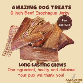 Amazing Dog Treats - Beef Esophagus Jerky for Dogs (6 Inch - 50 Pc/Pack) - Beef Gullet Dog Chews - Beef Esophagus Dog Treats