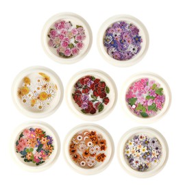 FOMIYES Nail Dry Petals 8pcs Dried Pressed Flower Stickers Nail Art Flower Decals