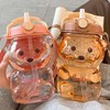 Bear Water Bottle with Straw Kawaii Cute Adjustable and Removable