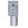 DC 24V Worm Gear Motor with Governor High Torsion Mini