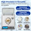Gemini-20 Milligram Scale – Digital Jewelry/Lab Scale for Powder, Gold,