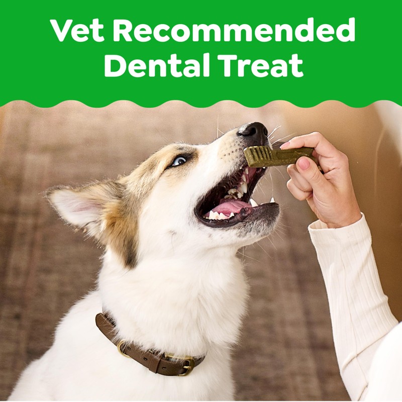 Greenies Veterinarian-Recommended Adult Natural Dental Dog Treats Regular Size, Original