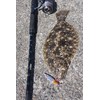 Abu Garcia (アブガルシア) Shore Skid Jig 30g Pink SSSHRSJ30-PK Metal