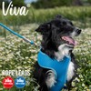 Ancol Viva Reflective Rope and Real Leather Snap Lead 107