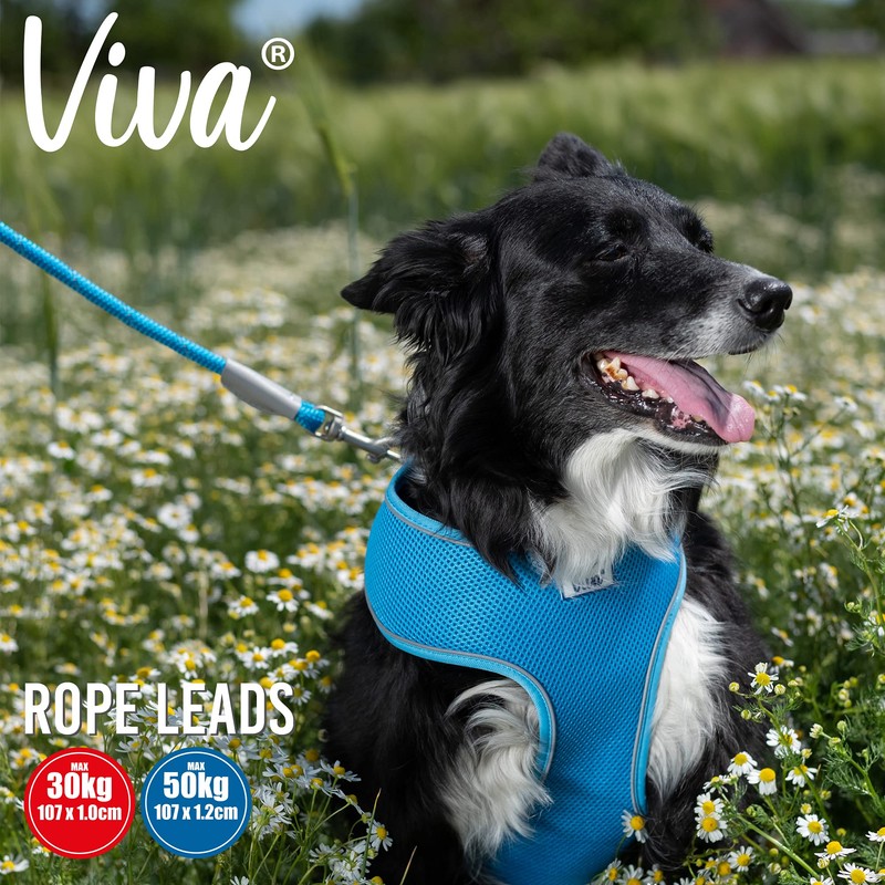 Ancol Viva Reflective Rope and Real Leather Snap Lead 107