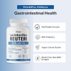 Lactobacillus Reuteri Probiotic 20 Billion CFU - L Reuteri Probiotic