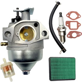 LIZAPUS Carburetor Carb Compatible with Lawn Boy Gold Mower Model 10694 10695 10696 10696C 10697 Replacement part