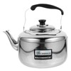 Tea Kettle Stainless Steel Water Kettle Tea Pot for Stove