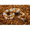 ReptiChip Coconut Substrate for Reptiles 36 Quart Loose Coarse Coconut