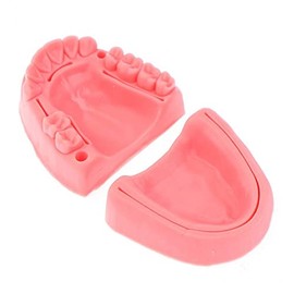 Modelo De Práctica De Sutura Dental De 2 Uds, Módulo De Enseñanza De Sutura Oral 3 En 1, Entrenamiento De Sutura Gingival De Múltiples Heridas Orales De Silicona