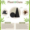 50 Unscented Charcoal Incense Cones 1" TOPFLOW - 100% Natural