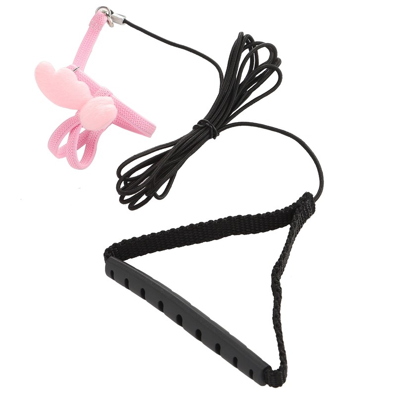Outdoor Pet Bird Cute Harness Leash Parrots Flying Training Adjustable