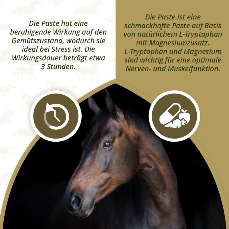Hofman Lieve No Stress Paste Horse - Size ONESIZE