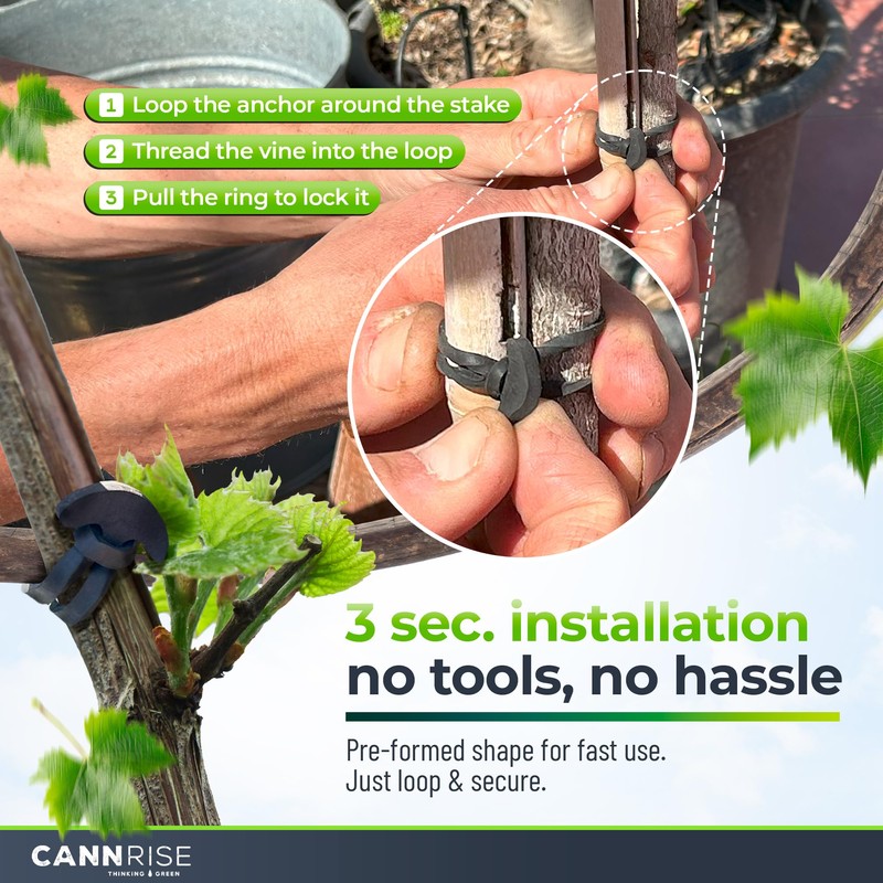 Anchor Bands for Trellising – 110-Pack 5 cm/1.96 in Rubber
