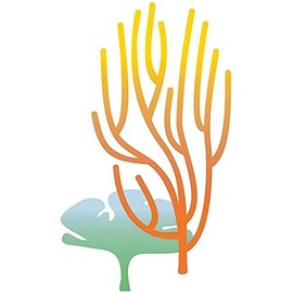 7 Inch Tropical Coral Reef Decal Fish Sea Beach Island Ocean Aquarium Removable Peel Self Stick Adhesive Vinyl Decoration Wall Decal Sticker Art Room Home Decor 4x7 Inch