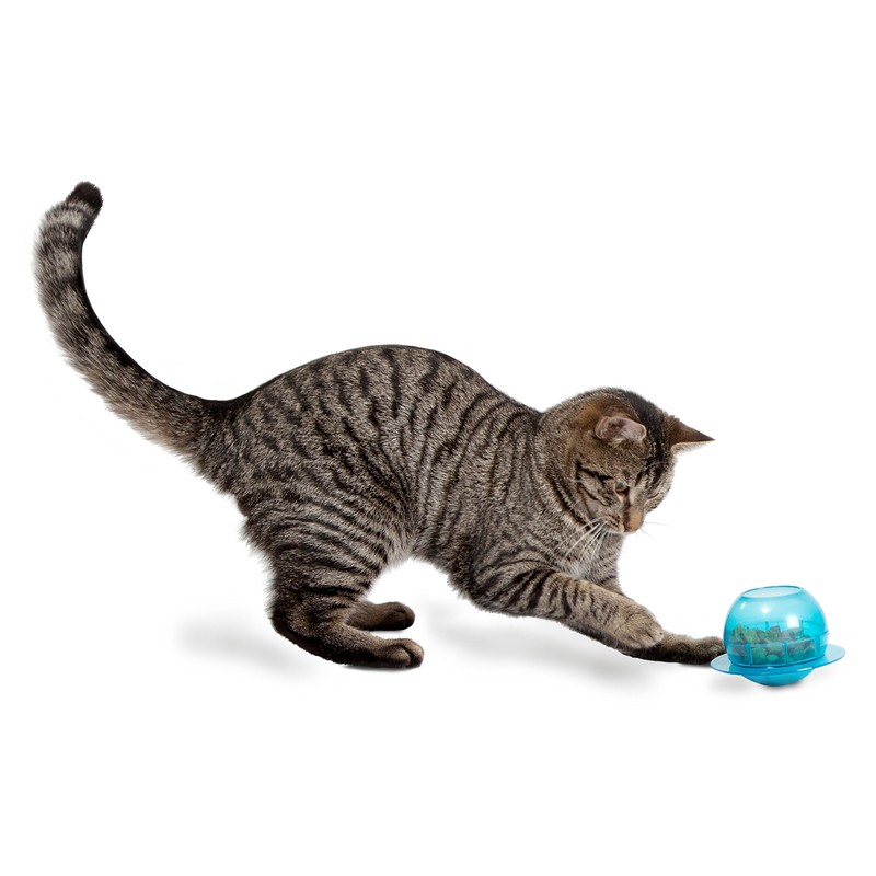 PetSafe Funkitty Fishbowl Treat Toy, Interactive Food Dispenser, Activity Snack