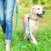 Aepeasti Dog Leash for Medium to Large Dogs with Two