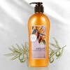 Skin nourishing body lotion containing high purity argan oil 500g / 순도높은 아르간오일함유 피부영양공급 바디로션 500g